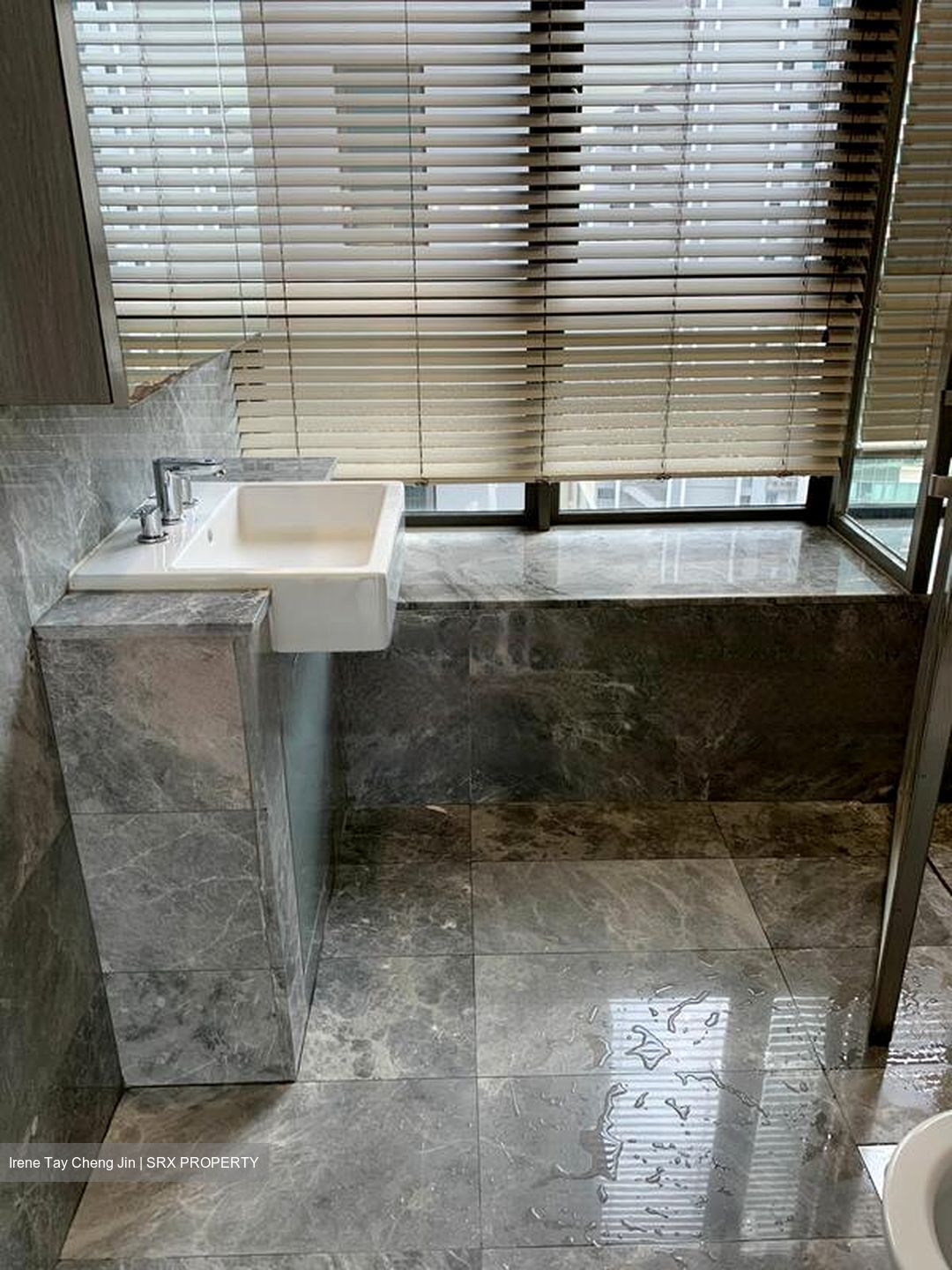 Skyline Residences (D4), Condominium #481237881